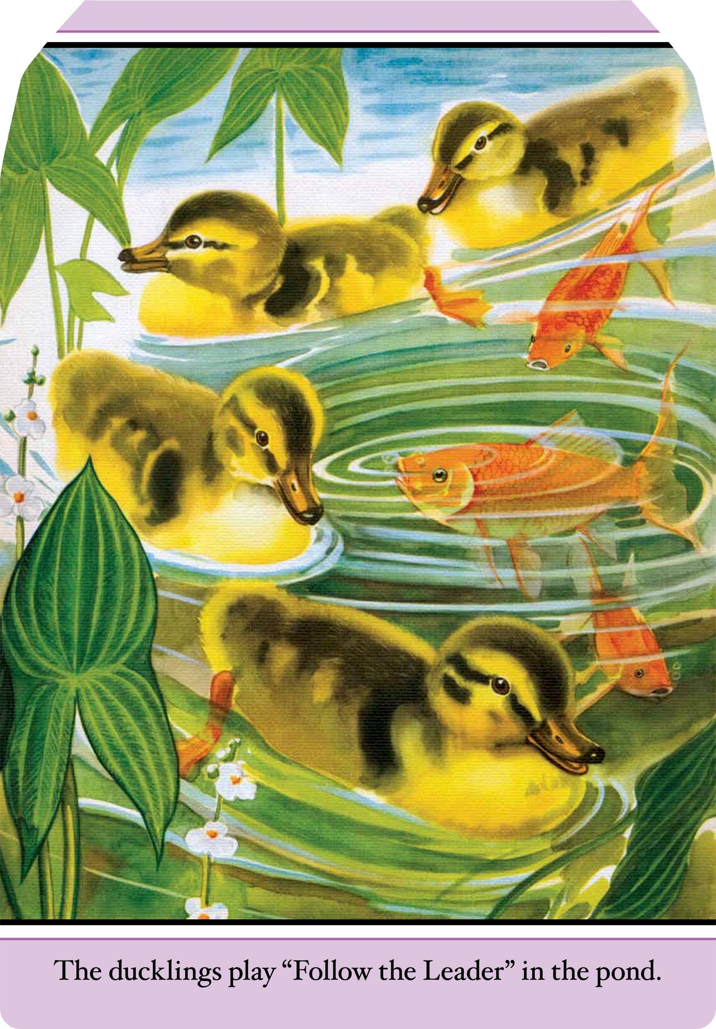 Farm Babies- Children's Shaped Picture Book - Vintage